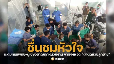 โรงพยาบาลช้าง ศูนย์อนุรักษ์ช้างไทย