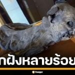 อังกฤษ พบ &quot;แมวมัมมี่&quot; ในกำแพงโบสถ์เก่านับร้อยปี คาดใช้เป็นเครื่องราง เฝ้าหลุมศพกษัตริย์