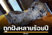 อังกฤษ พบ &quot;แมวมัมมี่&quot; ในกำแพงโบสถ์เก่านับร้อยปี คาดใช้เป็นเครื่องราง เฝ้าหลุมศพกษัตริย์