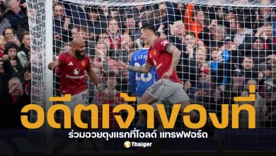 ฮอยลุนด์ เซสโก้