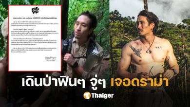 เฟย เดินป่า