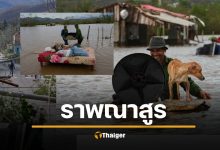 ประมวลภาพวิปโยค พายุเฮอริเคนเมลิสซา ซัด &quot;จาเมกา&quot; ราบเป็นหน้ากอง คนไร้บ้าน สัตว์ตายเกลื่อน