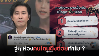 กรรชัยผึ้งต่อย