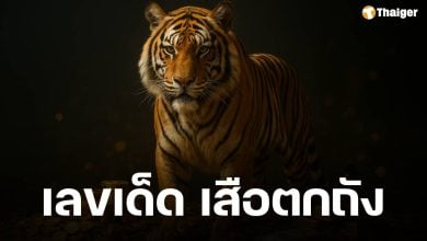 เลขเด็ด เสือตกถังพลังเงินดี งวด 1 พฤศจิกายน 2568