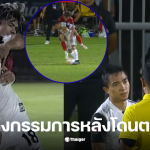 ใบแดงชนาธิป