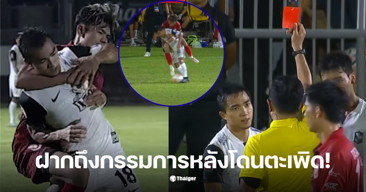 ใบแดงชนาธิป