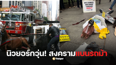 NYCLASS protest Ryder’s Law