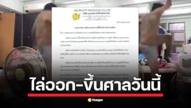 ความคืบหน้ากรณีคลิปไวรัลชายตั้งกล้องเตะแมว ล่าสุดร้านเจ้เล้งออกแถลงการณ์ปลดพ้นสภาพพนักงานทันที ด้าน WDT แจ้งกำลังขึ้นศาลดอนเมืองวันนี้