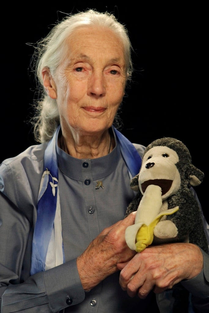 FILE - Primatologist and environmental activist Dr. Jane Goodall poses during an interview, Sept. 15, 2011, in New York.