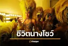 แปลเพลง The Life of a Showgirl เนื้อเพลงไทย Taylor Swift