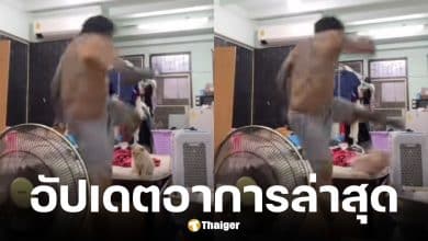 มูลนิธิวอชด็อกอัปเดตอาการน้องแมวถูกชายเตะ