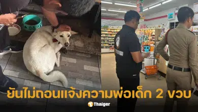 WDT แจ้งความพ่อเด็กถูกสุนัขจรจัดกัด