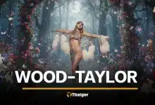 แปลเพลง Wood เนื้อเพลงไทย Taylor Swift