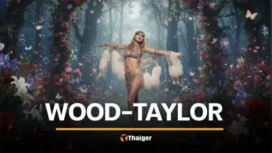 แปลเพลง Wood เนื้อเพลงไทย Taylor Swift