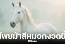 เลขเด็ดม้าสีหมอกงวด 16/10/68