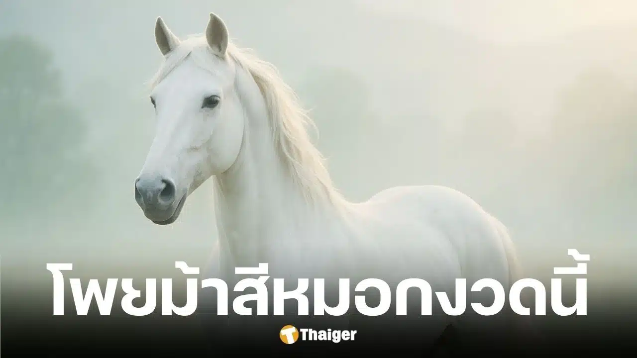 เลขเด็ดม้าสีหมอกงวด 16/10/68