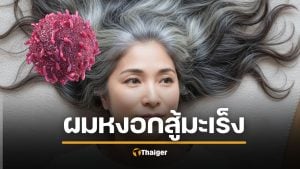 ตะลึง งานวิจัยญี่ปุ่นชี้ "ผมหงอก" ไม่ใช่แค่เริ่มแก่ แต่ร่างกายกำลังสู้ "มะเร็ง"