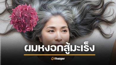 ตะลึง งานวิจัยญี่ปุ่นชี้ &quot;ผมหงอก&quot; ไม่ใช่แค่เริ่มแก่ แต่ร่างกายกำลังสู้ &quot;มะเร็ง&quot;