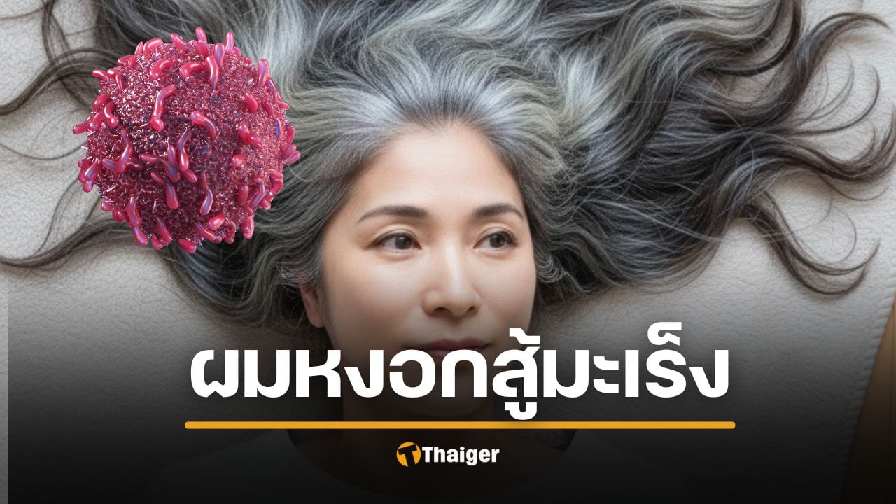 ตะลึง งานวิจัยญี่ปุ่นชี้ "ผมหงอก" ไม่ใช่แค่เริ่มแก่ แต่ร่างกายกำลังสู้ "มะเร็ง"