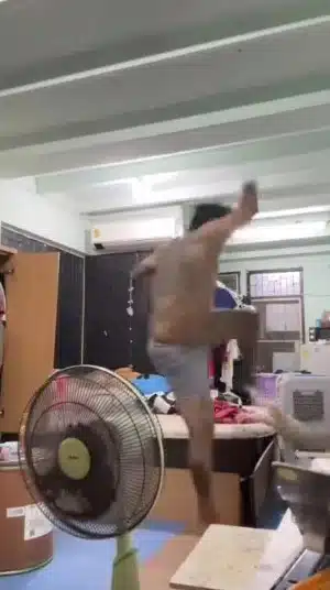 ชายเตะแมว ขึ้นศาลวันนี้