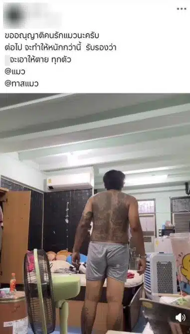 ชายเตะแมว
