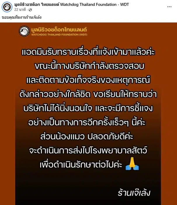 มูลนิธิวอชด็อกอัปเดตความคืบหน้ากรณีชายเตะแมว - 1