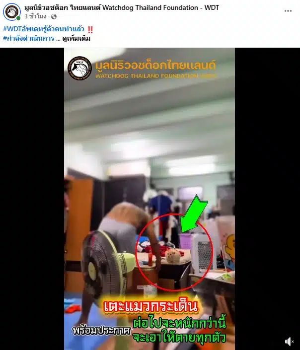 มูลนิธิวิชด็อกประกาศตามหาตัวคนเตะแมว