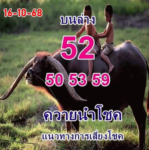 เลขเด็ด ควายนำโชค 16 10 68
