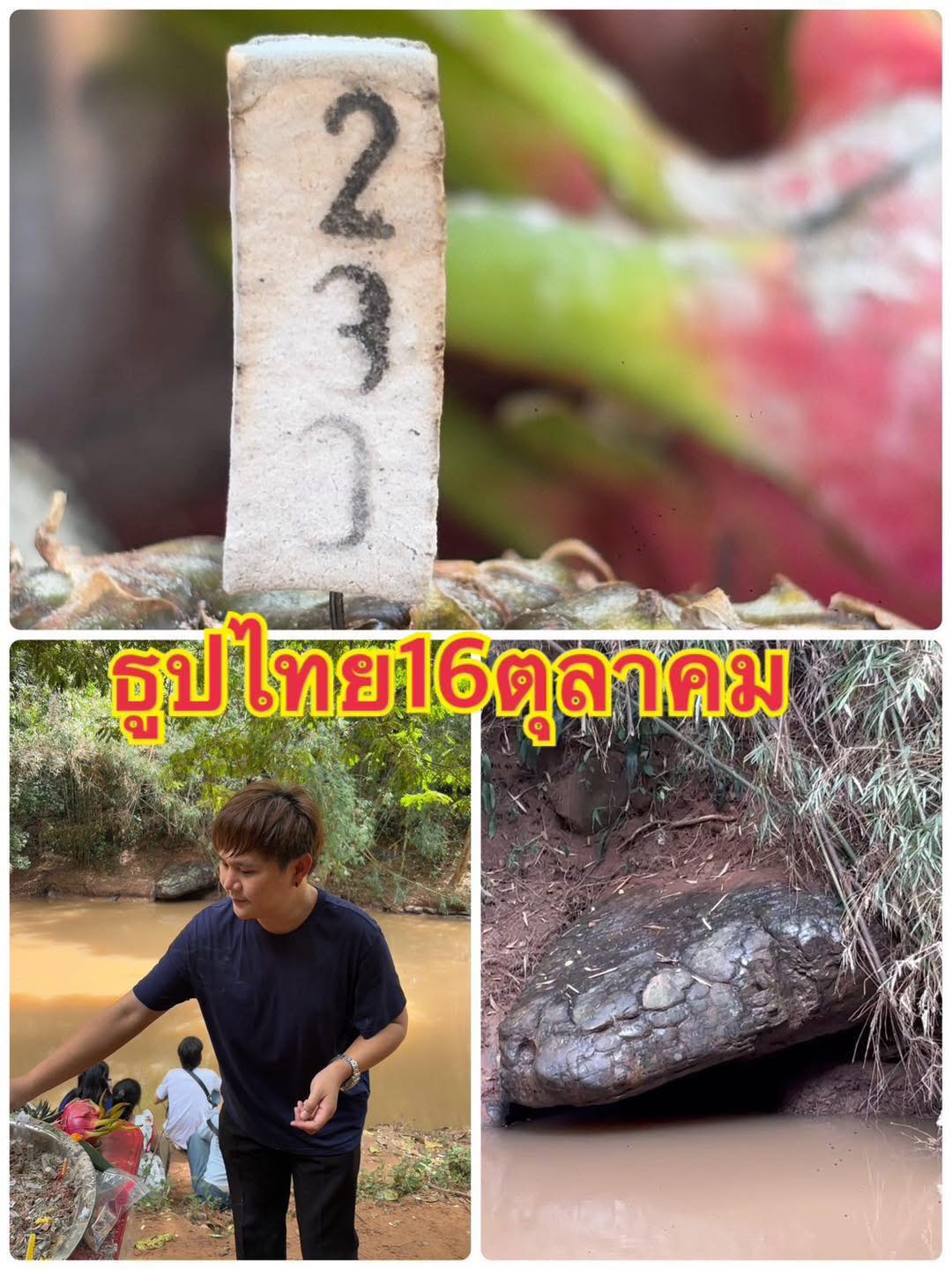 เลขเด็ด อ.ไอติม เรือนนาคา งวด 16 ต.ค. 68-1