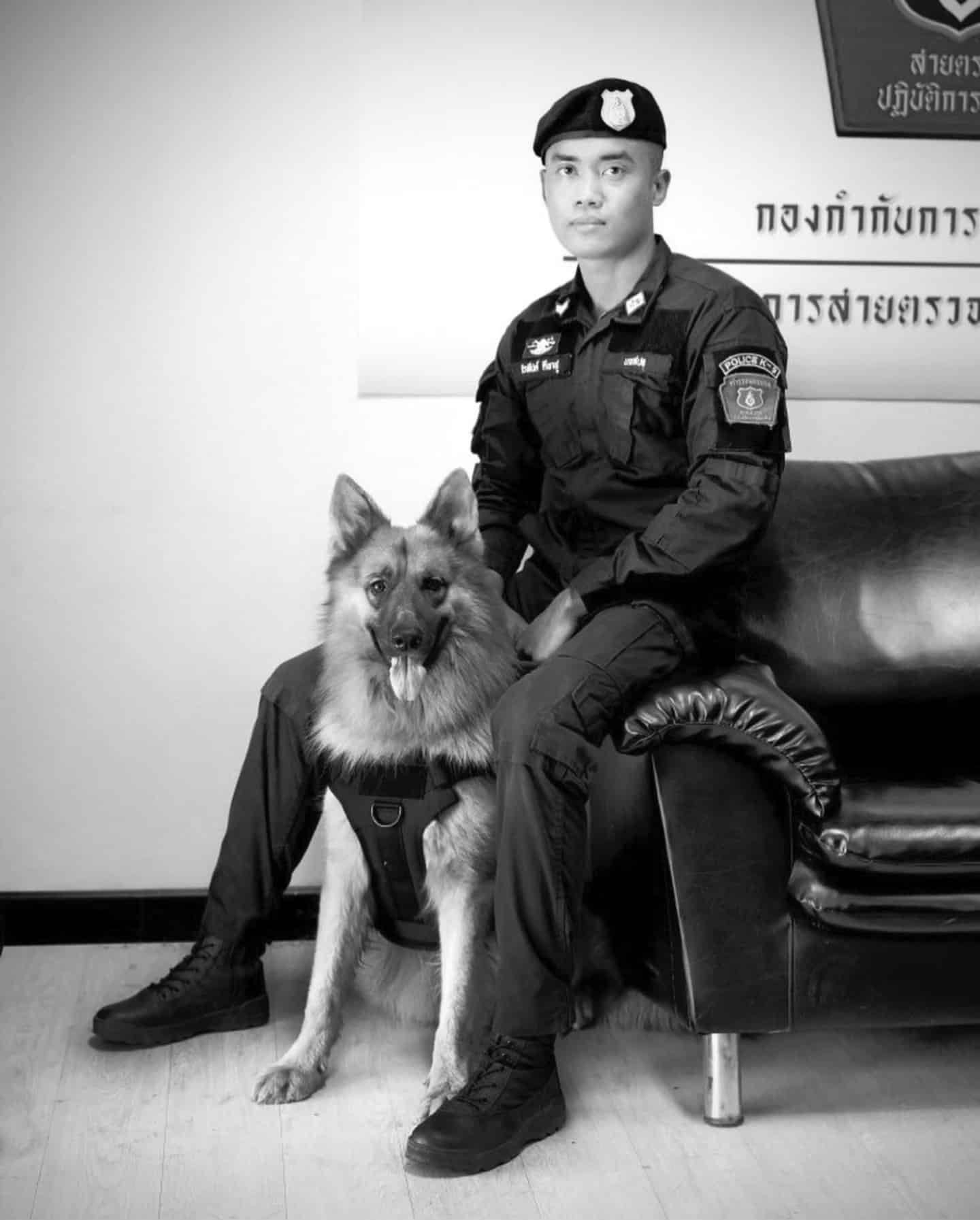 "สุนัขตำรวจตรีซาโบ้" ในเครื่องแบบ K9