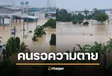 จุรี ทนไม่ไหว &quot;คนรอความตายเป็นหมื่น&quot; จี้นายกฯ สั่งการทันที เสียงร้องขอช่วยเหลือเต็มเมือง
