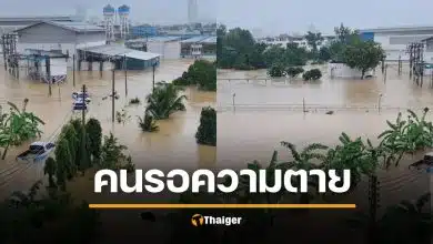 จุรี ทนไม่ไหว &quot;คนรอความตายเป็นหมื่น&quot; จี้นายกฯ สั่งการทันที เสียงร้องขอช่วยเหลือเต็มเมือง