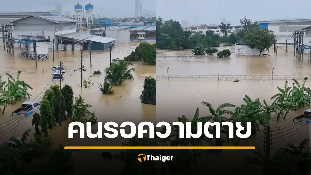 จุรี ทนไม่ไหว "คนรอความตายเป็นหมื่น" จี้นายกฯ สั่งการทันที เสียงร้องขอช่วยเหลือเต็มเมือง