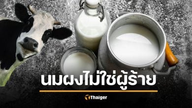 หมอยืนยัน นมผง ไม่อันตราย คนแพ้นมวัว เกิดจากโปรตีนในนม ไม่ใช่สารเคมี