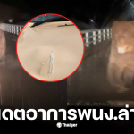 หมีทำร้ายรถของพนักงานให้อาหาร