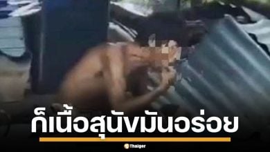 ไรเดอร์ผงะ! ส่งของเจอชาย ฆ่าหมากินสด โชว์หน้าบ้าน เจ้าตัวอ้างเนื้อมันอร่อย