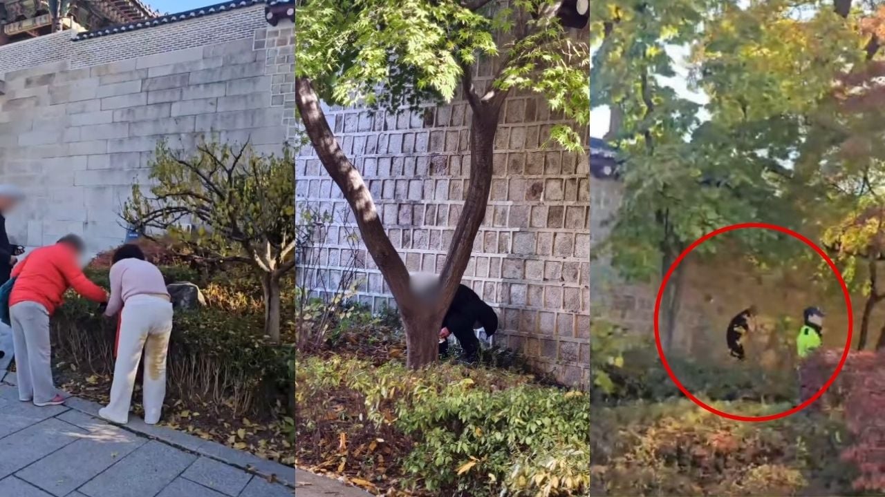 คลิปนักท่องเที่ยวจีนนั่งอุจจาระข้างกำแพงพระราชวังเคียงบกกุง