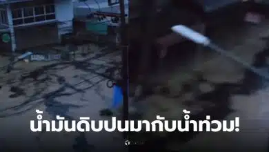 น้ำมันดิบปนมากับน้ำท่วมหาดใหญ่