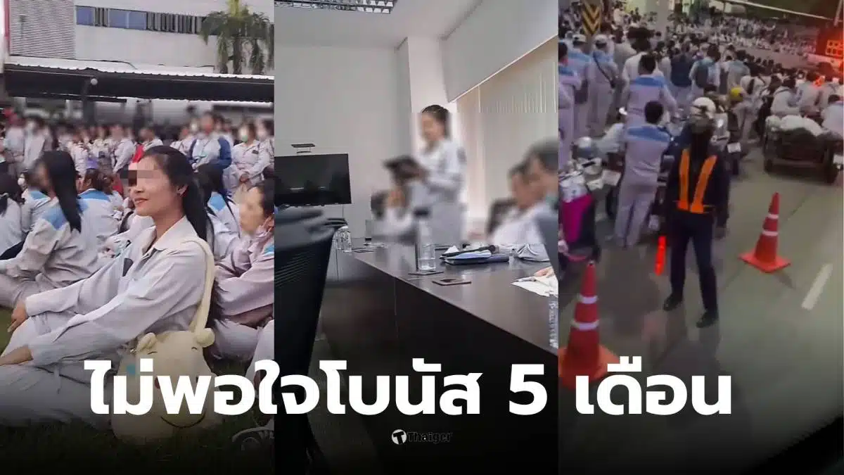 โบนัสไดกิ้น