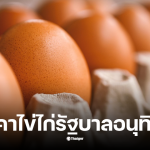 ราคาไข่ไก่ 4 พฤศจิกายน 2568