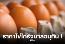 ราคาไข่ไก่ 4 พฤศจิกายน 2568