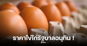 ราคาไข่ไก่ 4 พฤศจิกายน 2568