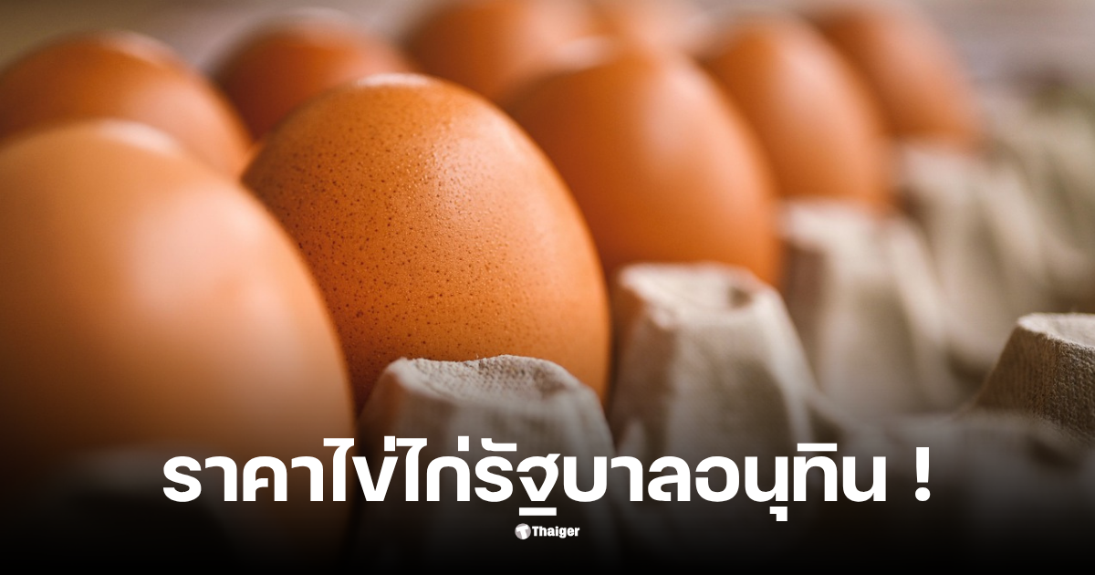 ราคาไข่ไก่ 4 พฤศจิกายน 2568