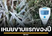 ดอยอินทนนท์ หนาวจัด เหมยขาบ แรกของปี 2568 โผล่แล้ว ยอดหญ้าแตะ 0 องศา