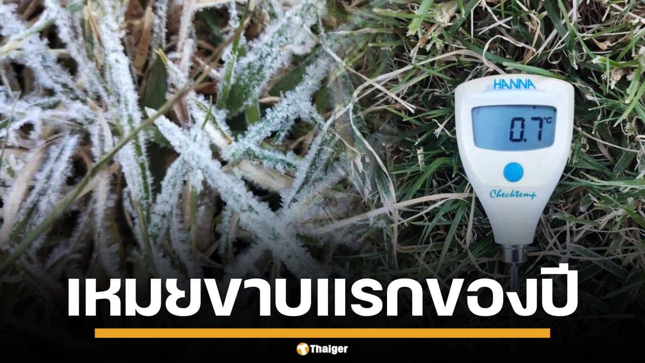 ดอยอินทนนท์ หนาวจัด เหมยขาบ แรกของปี 2568 โผล่แล้ว ยอดหญ้าแตะ 0 องศา