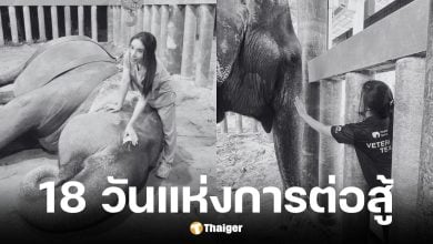 หมอโบว์โพสต์เศร้าพังสร้อยฟ้าเสียชีวิตหลังรักษานาน 18 วัน