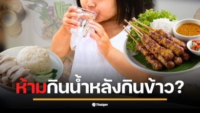 อ.เจษฎา เคลียร์ความเชื่อ &quot;ห้ามกินน้ำหลังกินข้าว&quot; ยันระบบย่อยอาหารปรับตัวได้สบาย การดื่มน้ำช่วยขนส่งอาหาร ไม่ได้ทำให้กรดจางจนย่อยไม่ได้