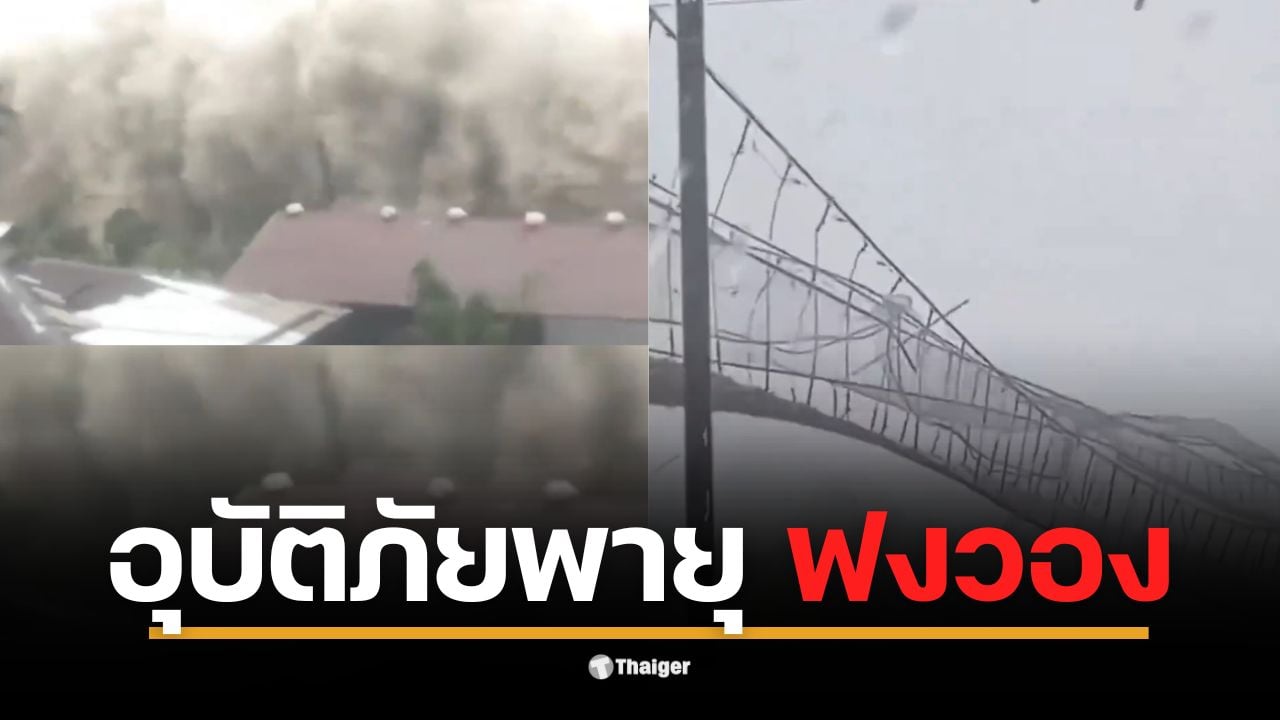 คลิประทึก! พายุ "ฟงวอง" ซัดฟิลิปปินส์ สะพานแขวนแกว่งราวกับกระดาษ คลื่นยักษ์ถล่มชายฝั่ง หลังขึ้นฝั่งแล้วที่ออโรรา
