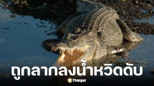 จระเข้ยักษ์ 12 ฟุต ลากเด็ก 10 ขวบลงน้ำ ก่อนชาวบ้านช่วยชีวิตได้ทัน