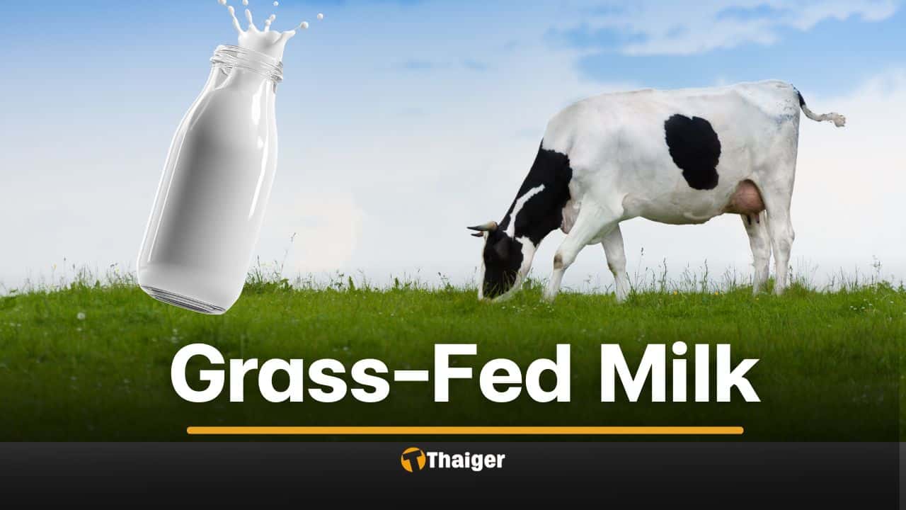 นมวัวกินหญ้า (Grass-Fed Milk) ดียังไง